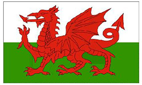 5ft X 3ft Wales Dragon National Flag