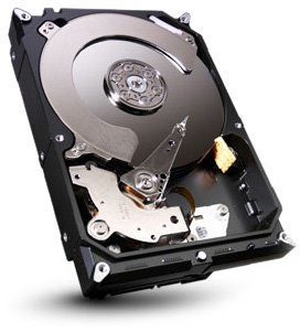 Seagate ST320DM000 Barracuda Disque dur interne 3,5 SATA III 7200 tours/min 320 Go