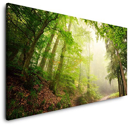 Wald mit Waldweg 120x 60cm Panorama Leinwand Bild XXL Format Wandbilder Wohnzimmer Wohnung Deko Kunstdrucke