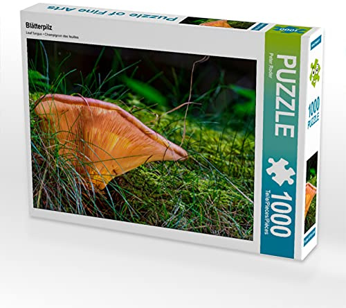 CALVENDO Puzzle Blätterpilz | 1000 Teile Lege-Größe 64 x 48 cm Foto-Puzzle für glückliche Stunden