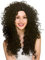 Wicked Costumes Adult Black Long Curly Fancy Dress Wig