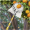 DXDRT Obstpflücker mit 6m/19.6 ft Teleskopstiel und Obst Tragetasche, Leicht Verstellbarer Apfelpflücker für Haus Obstgarten Bauernhof, Obsternter für Zitrone, Mango, Avocados und mehr Früchte