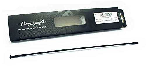 Campagnolo 1 Campag Eurus Rear Radio IZQ 276.5 Bike Accessories, Adults, Unisex, Multicoloured (Multicoloured), One Size