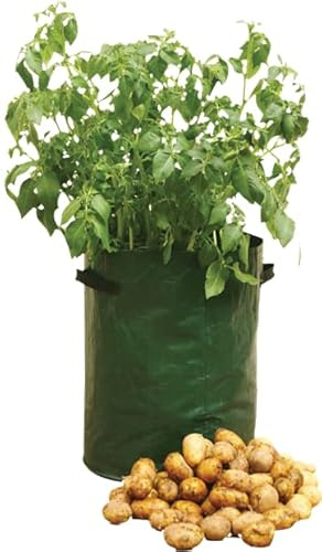 Green Plastic Potato Planter (34 x 45cm) 1 Piece - Easy to Set-Up & Maintain, Perfect for Patios, Decks, Balconies & Conservatories