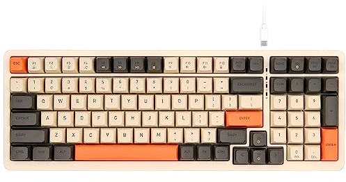 Rii RK909 Kabelgebundene Manchine-Gaming-Tastatur, kompakte PC-Tastatur mit Nummernblock, 96 % Layout, 100 Tasten mit Hintergrundbeleuchtung, roter Schalter für Mac/Windows/Chrom/Linux