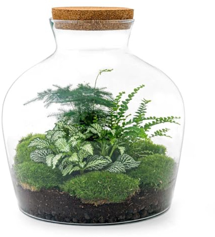 Flaschengarten Fat Joe GRÜN DIY-Pflanzen-Terrarium 30cm hoch