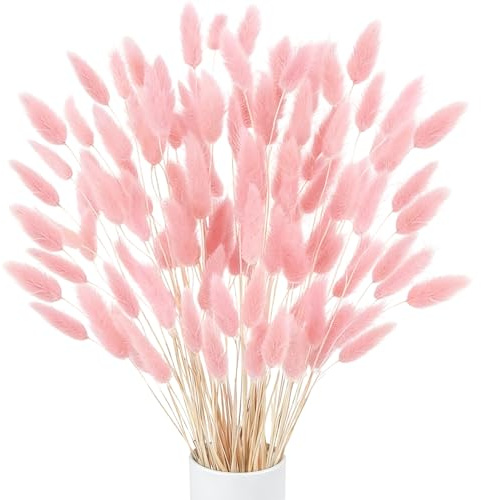 Minnhua 120 Pcs Natürliche Trockenblumen Pampasgras Getrocknet Blumen Klein Pampas Gras Pampasgras Trockenblumen Schilfgras für Hochzeit Hause Party Wedding Büro Fotografie Vase Deko Rosa
