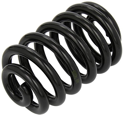 lesjofers 4256839 Coil Spring Rear