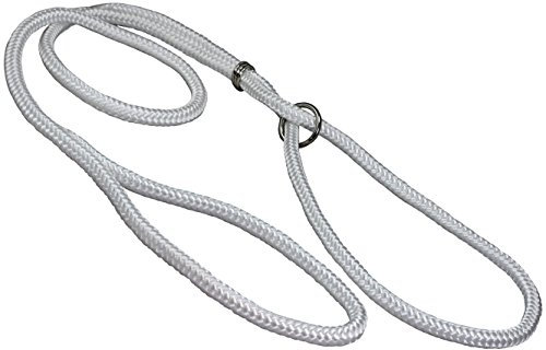 Dog Show Lead Braided Tubular Nylon 52 Long (Medium: diam 5/16(8mm), White)