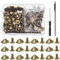 Tanstic 100 set (202 pezzi) di punte e borchie a cono in bronzo, 10 x 4,7 mm, punte in metallo e borchie a cono, borchie a vite con strumenti di installazione per artigianato in pelle
