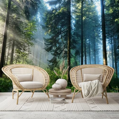 Sun Wandbild, Motiv: Dappled Misty Pine Forest Path – benutzerdefinierte Größe, abnehmbar, große Fototapete für Wohnzimmer, Schlafzimmer, Büro, selbstklebende Tapete, kein PVC