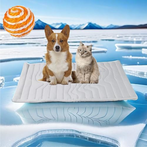 Gienslru Kühlmatte, Die Innovative Kühlmatte für Hunde, kühlmatte Hund, Selbstkühlende Pads Sicher Und Komfortabel Für Deinen Hund (M-36 * 23IN)