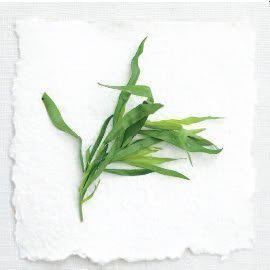 100 TARRAGON - French / Kitchen / Common / Dragons Wort - Artemisia Dracunculus Flower Herb Seeds by Seedville