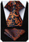 HISDERN Herren Krawatte Hochzeit Orange Paisley Krawatten Taschentuch Blumen Elegant Klassisch Krawatte & Einstecktuch Set
