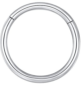 BLESSMYLOVE Silber 1.2mm 6mm Nasenring Hoop 316L Chirurgenstahl Knorpelohrring Septum Clicker Ring Edelstahl Klappbarer Segmentring Lippenring Conch Daith Helix Rook Tragus Snug Body Piercing Schmuck