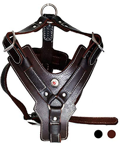 PESHOUCO Hundegeschirr aus Leder, handgefertigt, echtes Leder, langlebig, robust, mit verstellbaren Riemen, kein Ziehen, einfache Kontrolle, für mittelgroße und große Hunde, Dunkelbraun
