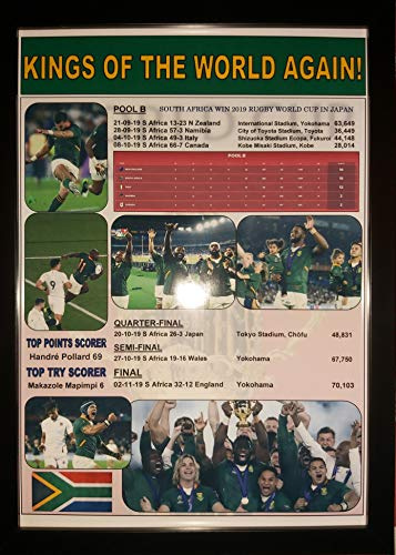 Assorted South Africa 2019 Rugby World Cup winners - framed print