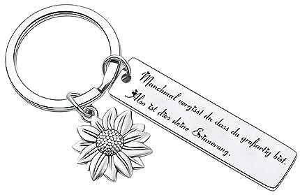 HCHES Motivationsgeschenke Erinnerung Schlüsselanhänger mit Sprüche Abschiedsgeschenk für Schwester,Familie,Beste kollegin,Erzieher,Chef,Freundin