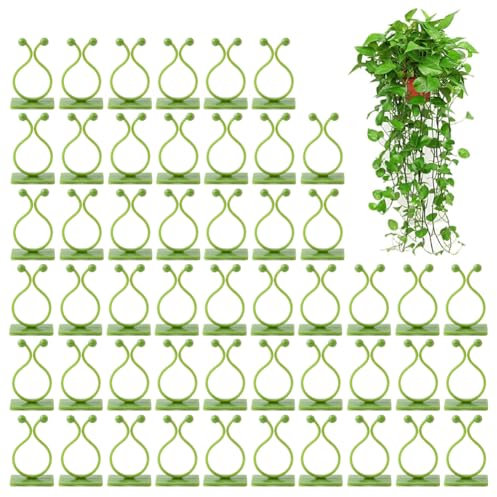 Mikiuly Clip per Piante,50 Pezzi Clip Adesive per Piante Rampicanti,Clip per Piante Autoadesivi,Ganci per Piante Rampicanti,Rampicanti Clip per Piante,per Piante da Giardino