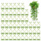 Mikiuly Clip per Piante,50 Pezzi Clip Adesive per Piante Rampicanti,Clip per Piante Autoadesivi,Ganci per Piante Rampicanti,Rampicanti Clip per Piante,per Piante da Giardino