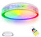 YRHome 60W Sternenhimmel Deckenleuchte LED Deckenlampe Acryl Ø50CM Dimmbar RGB mit Fernbedienung 2800-6500K Kreative Sternenlicht Deckenbeleuchtung Rund für Schlafzimmer Wohnzimmer (Grau Innenring)