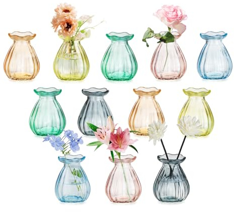 Glasseam Glas Kleine Vasen für Tischdeko: 12er Bunte Vase Klein für Home | Aesthetic Vase Deko, Kleinen Blumenvase Modern für Blumen Bud Pflanzen, Wohnzimmer, Party, Hochzeit, Tisch, Home Dekoration