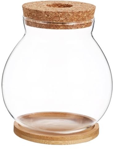Sosoport Wood Plant Home Clear Aquarium Office Bowl Hydroponic Propagation Vase Small Desktop Mini Lid Decoration Terrarium Betta Fish Transparent Tank And Decor