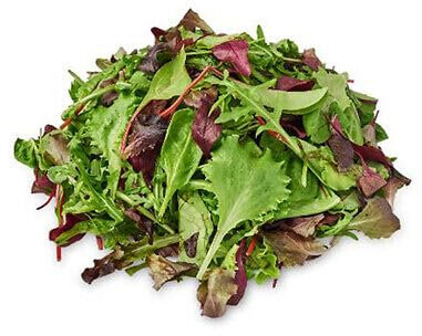 Buy4Seeds 500 Seeds Lettuce Gourmet looseleaf Cutting Mix Easy to Grow