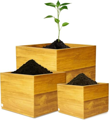 Teak Pur Pflanzkübel Set aus massivem Teak Holz- Pflanzkübel Holz quadratisch – Blumenkübel Naturholz – Pflanzkasten Holz – Blumentopf Holz für Pflanzen (Set)