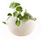 Vasi for piante succulente, vaso for piante ad aria in ceramica a forma di guscio d'uovo, vaso for fiori Ikebana, fioriera moderna for fiori, piante grasse, giardini di cactus narciso testa ( Size : M