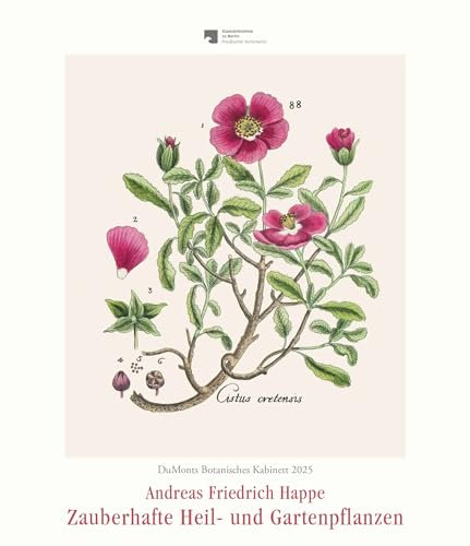 DUMONT - DUMONTS Botanisches Kabinett 2025 Wandkalender, 34,5x40cm, Kunstkalender mit zauberhaften Pflanzenporträts, aus der Rara-Sammlung der Staatsbibliothek zu Berlin, mit Textblatt