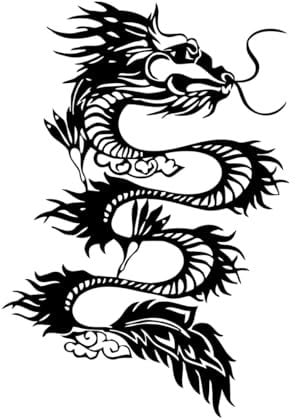 Wandtattoo Drachen, Mythos, Fantasie, cooles Dekor für Kinder, Jungen, Kinderzimmer, Kunst, Schlafzimmer, Schmuck, Wandaufkleber, klein – 27x42cm