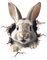 Wandtattoo,Kaninchen Wandtattoo - Peel Stick Wandaufkleber Tierdekor Wandkunst | Exquisiter, vielseitiger niedlicher Cartoon-Kaninchen-Aufkleber für Fenster, Wohnzimmer