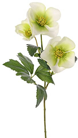 artplants.de Künstliche Christrose AKRAB, grün-weiß, 45cm, Ø5-8cm - Helleborus Kunstpflanze