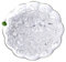 Natural Clear Quartz Tumbled Chips Crushed Crystal Stone, 7-9mm Polished Healing Crystal Chips Healing Reiki Crystal Jewelry Making Home Decoration