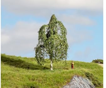 NOCH® Hängebirke, Modellbau-Baum, 12 cm hoch für Verschiedene Spurweiten und Maßstäbe