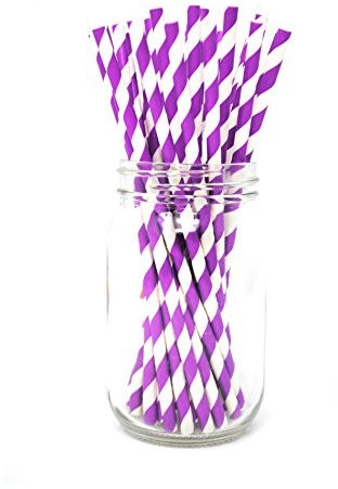 Picture Perfect Party Premium Paper Straws [Pack of 25 Drinking Straws] (Purple Stripes)