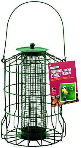 Gardman A01621 Eichhörnchensichere Futtersäule für Erdnüsse