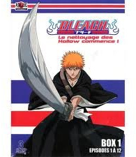 Bleach, box 1 [FR Import]