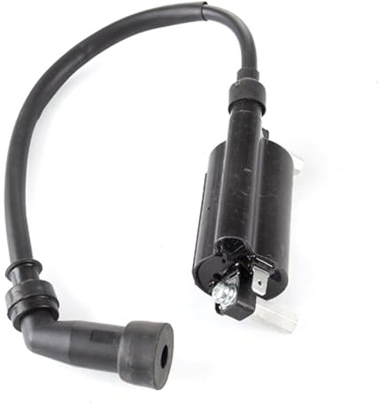 Ignition Coil compatible with Lexmoto Venom EFI SK125-22-E4/Viper 125 SK125-22A, compatible with Romet Division 125 SK125-22 (ROMET)