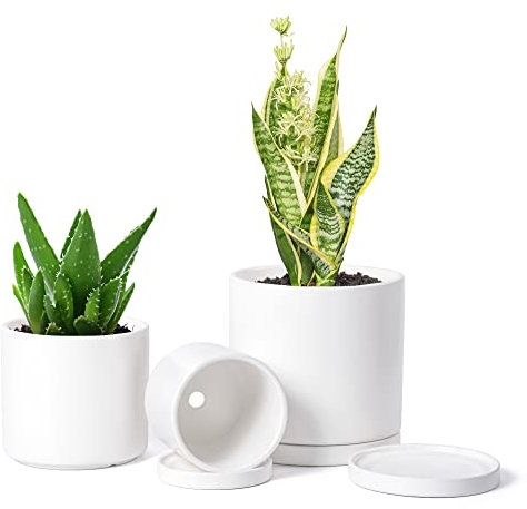 D'vine Dev Pots en Terre Cuite Blanche pour Plantes, 10,6 cm, 13 cm, 16,5 cm, Pot de Fleurs succulentes avec Drainage et Soucoupe, 40-T-A-1