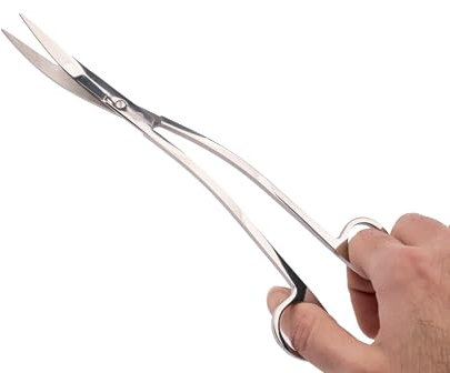 NatureHolic Scaping Scissors Wave Silver | 25 cm Aquascaping Schere | S-förmig geschwungene Pflanzenschere | Präziser Rückschnitt für Bodendecker und Moose | Rostfreier Edelstahl