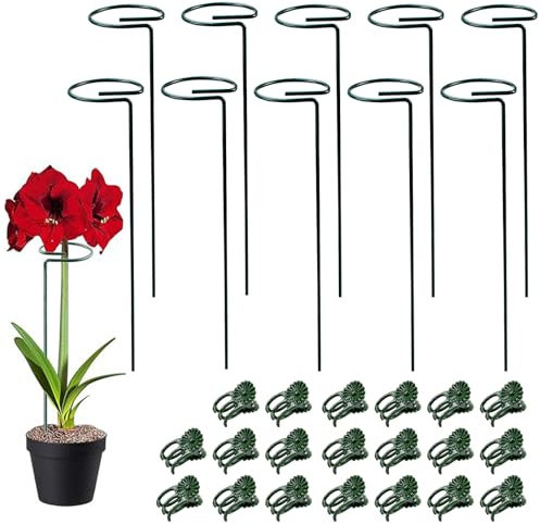 NAROSEBE 10 Stück Pflanzenstütze Blumenstütze Garten Pflanzenstab 30CM Pflanzenstützstab 20 Orchideen Klammern Pflanzenhalter Rankhilfe Pflanzen Stütze Blumenhalter Ring für Blumen, Tomaten, Lilien