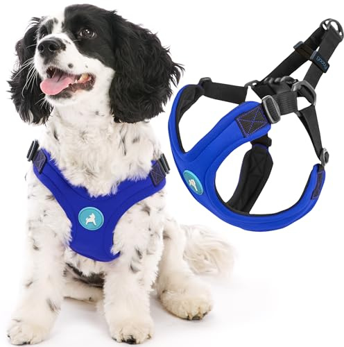 Gooby Escape Free Sport Harness - Blau, Größe L – Patentes, verstellbares Neopren-Geschirr für kleine und mittelgroße Hunde, kein Würgen, ideal für den Alltag ohne Ziehen