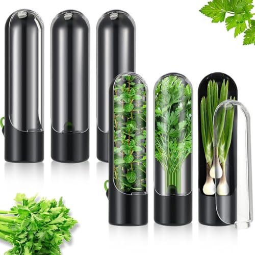 Lot de 3 boîtes à herbes fraîches pour réfrigérateur, conservation des herbes fraîches pour réfrigérateur, conservation des herbes pour coriandre, persil, asperges, garde les légumes frais pendant 2 à