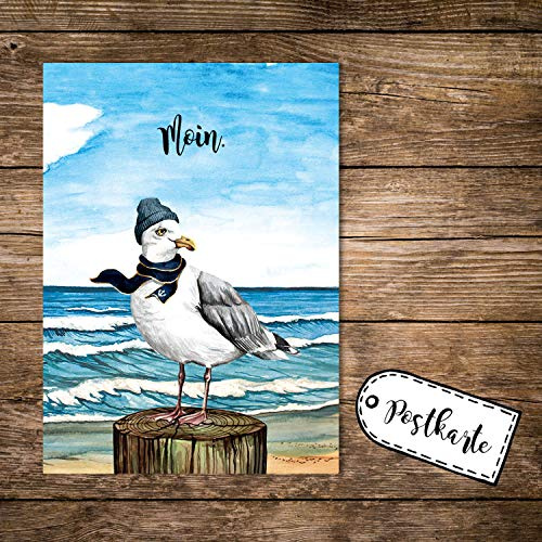 ilka parey wandtattoo-welt A6 Postkarte Print Vogel Möwe mit Mütze Schal am Meer Spruch Moin Karte Grußkarte pk252 - ausgewählte Größe: *10 Stück (desselben Motives)*