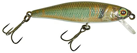 Illex Wobbler Tiny Fry 50 SP 2,7g schwebend RT Oikawa