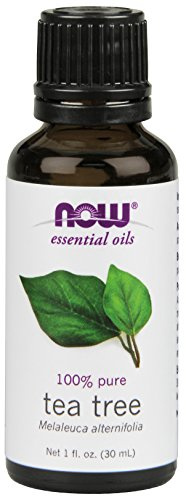 Now Foods Tea Tree Oil, 1 oz (Pack of 2) by Now Foods