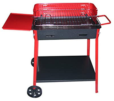 Barbecue 40 x 60 Cm. con Ruote