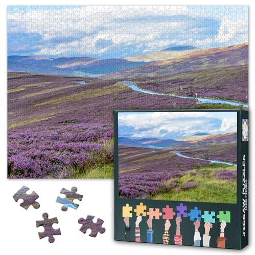 Puzzles for Adults 1000 Pieces, Cairngorms National Park in Northern Scotland Jigsaw Puzzles, Adult Puzzle for Adults, Educational Fun Games or Toys for Elders Friends 20X27 INCH